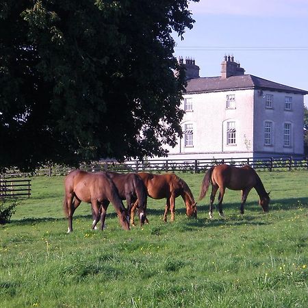 Gasthaus Glebe House Taghshinny Exterior foto