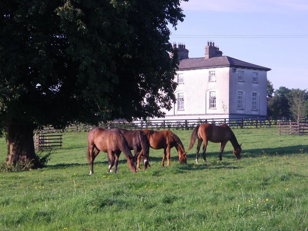 Gasthaus Glebe House Taghshinny Exterior foto